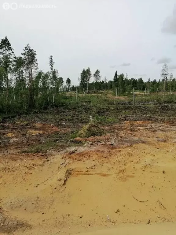 Участок в Агалатовское сельское поселение, СНТ У Лукоморья, 10 (12 м) - Фото 1