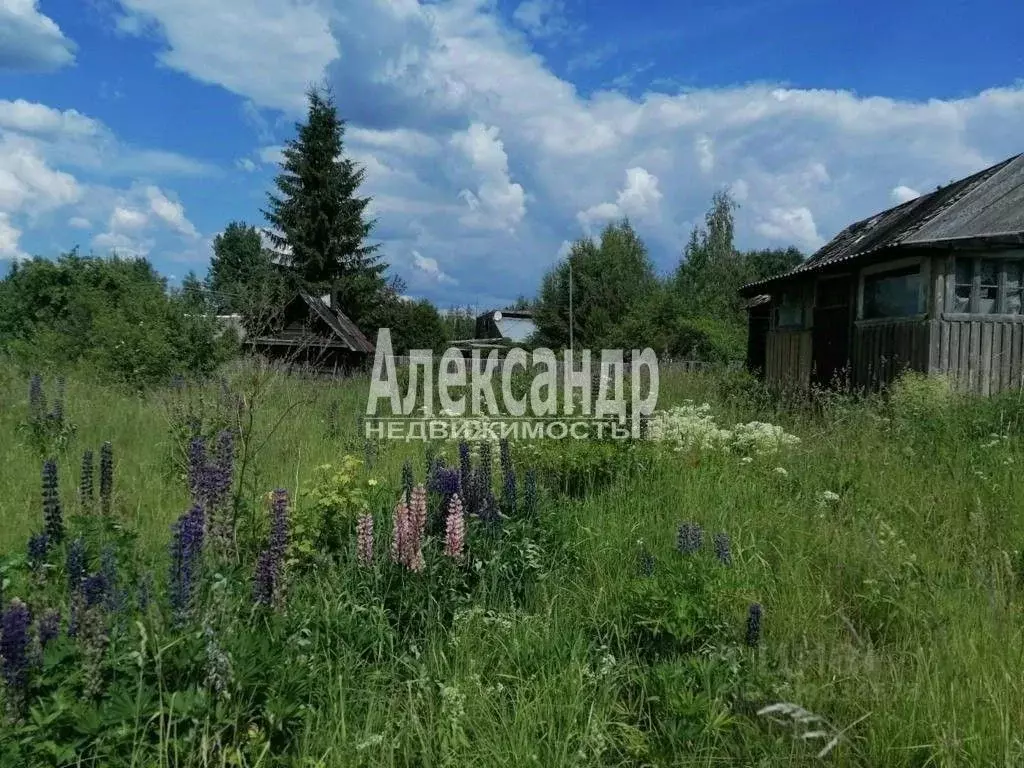 Дом в Ленинградская область, Волховский район, Колчановское с/пос, д. ... - Фото 1