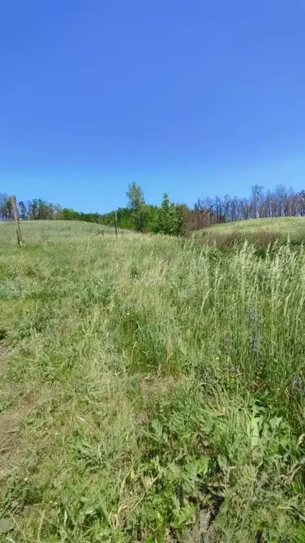 Участок в Белгородская область, Белгородский район, Тавровское с/пос, ... - Фото 0