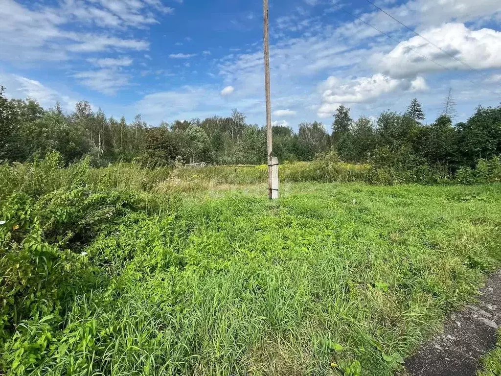 Участок в Томская область, Томск Мебельщик садовое товарищество,  ... - Фото 1