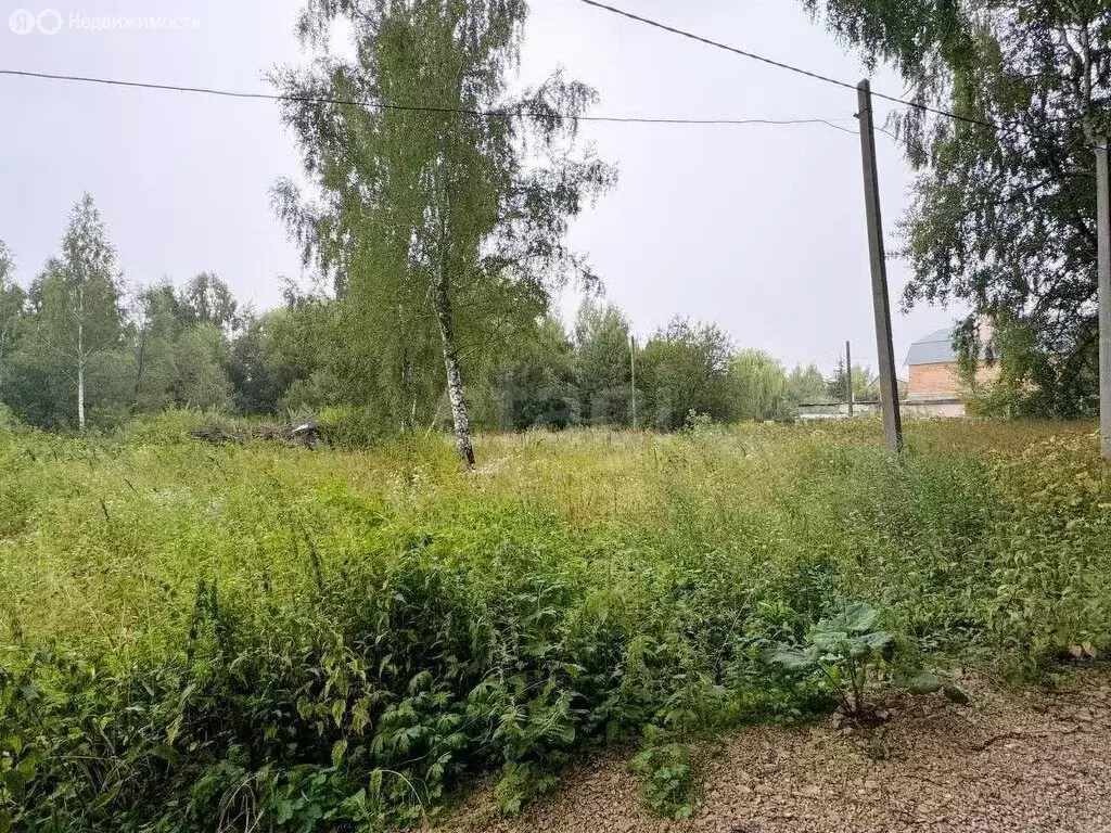 Участок в Тульская область, Щёкинский район, сельское поселение ... - Фото 2