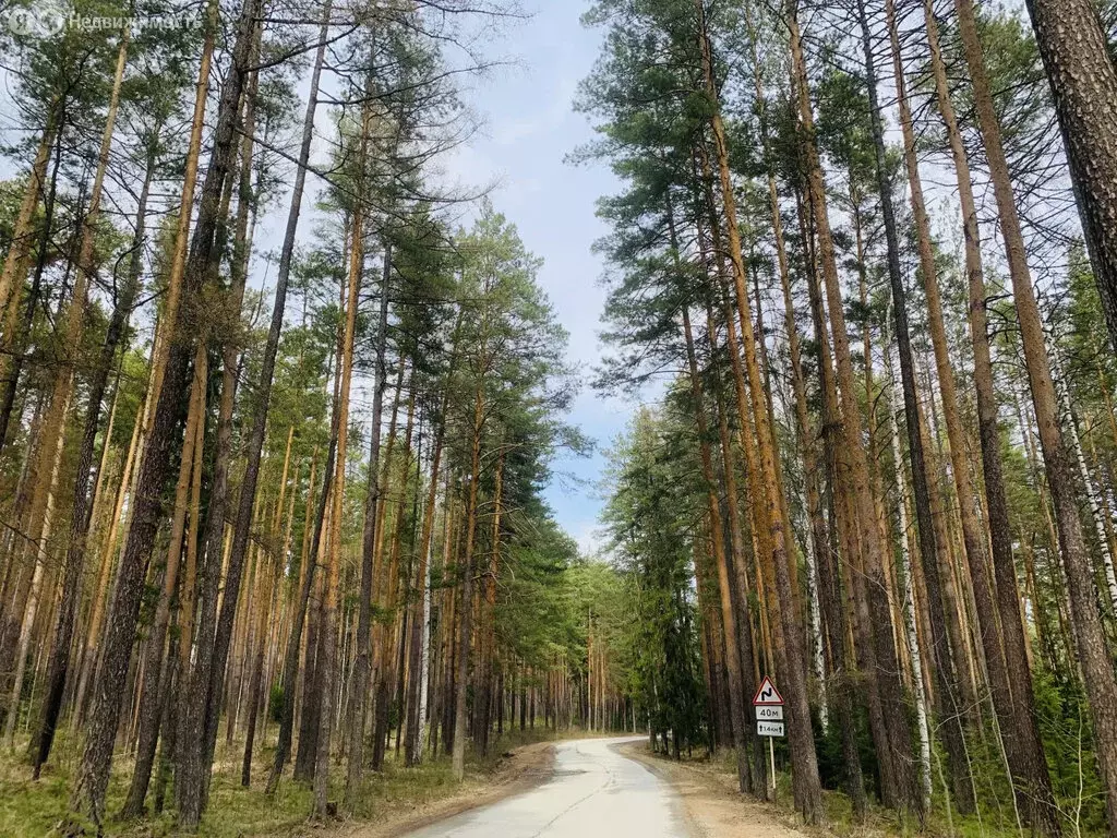 Участок в Свердловская область, муниципальный округ Среднеуральск, ... - Фото 1