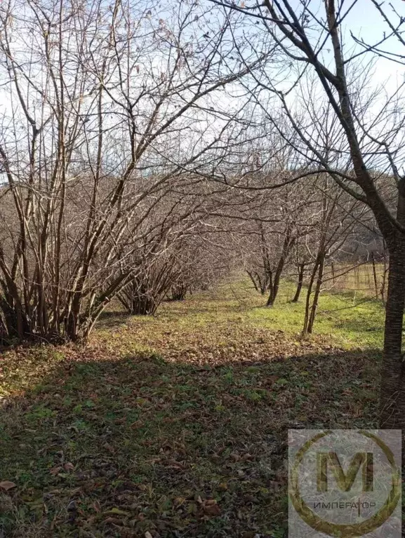 Участок в Краснодарский край, Геленджик городской округ, пос. Светлый  ... - Фото 2