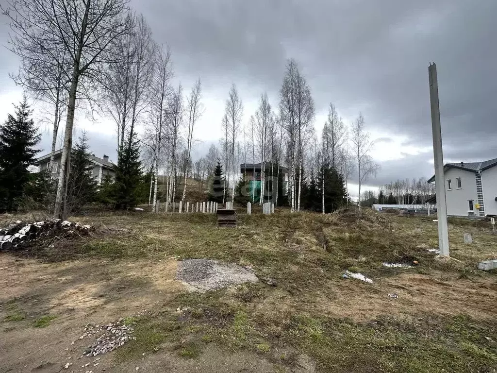 Участок в Ленинградская область, Всеволожский район, Бугровское ... - Фото 0