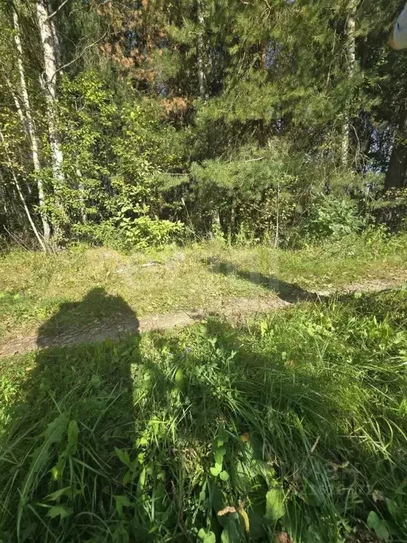 Участок в Калужская область, Дзержинский район, Никольское с/пос, д. ... - Фото 2