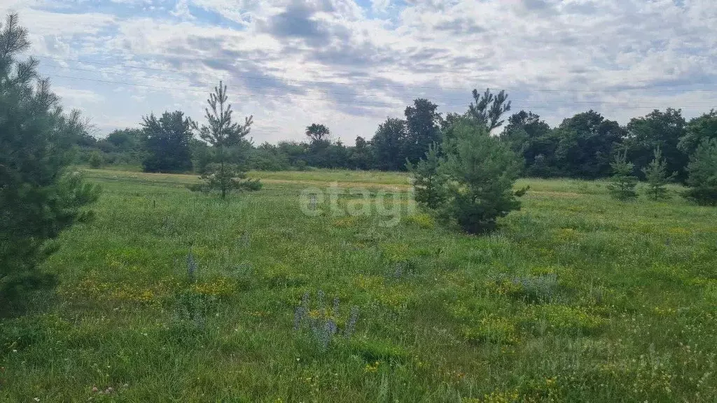 Участок в Белгородская область, Волоконовский район, с. Фощеватово  ... - Фото 0