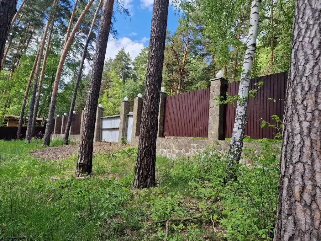 Участок в Московская область, Серпухов городской округ, д. Прилуки  ... - Фото 1