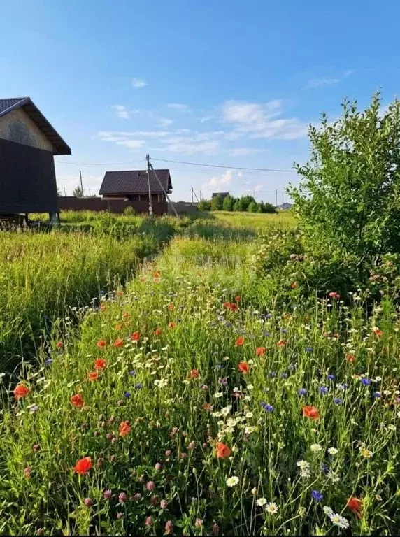 Участок в Пермский край, Пермский муниципальный округ, д. Большакино ... - Фото 1