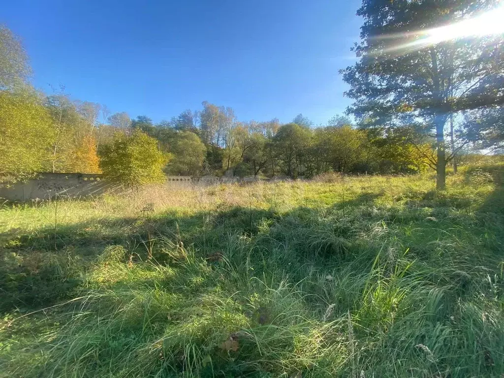 Участок в Москва д. Сатино-Татарское, ул. Сосновая (95.0 сот.) - Фото 2