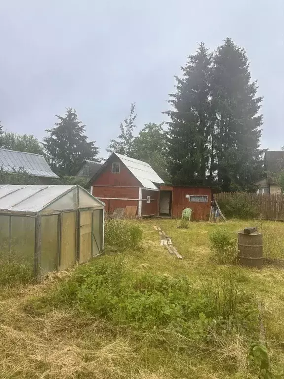 Дом в Ленинградская область, Гатчинский муниципальный округ, Чаща ... - Фото 2