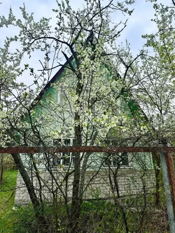 Дом в Владимирская область, Петушки Кедр СНТ, 10 (50 м) - Фото 1