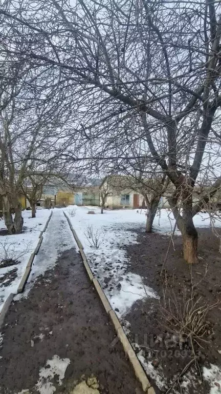 Дом в Белгородская область, Белгородский район, Беловское с/пос, с. ... - Фото 1
