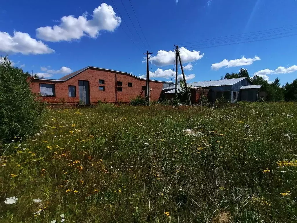 Производственное помещение в Тульская область, Одоев рп ул. 50 лет ... - Фото 0