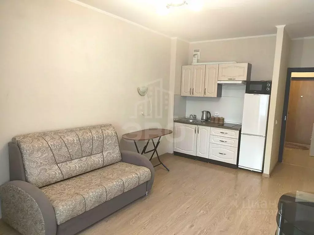 Студия Санкт-Петербург ул. Катерников, 7 (27.4 м) - Фото 1