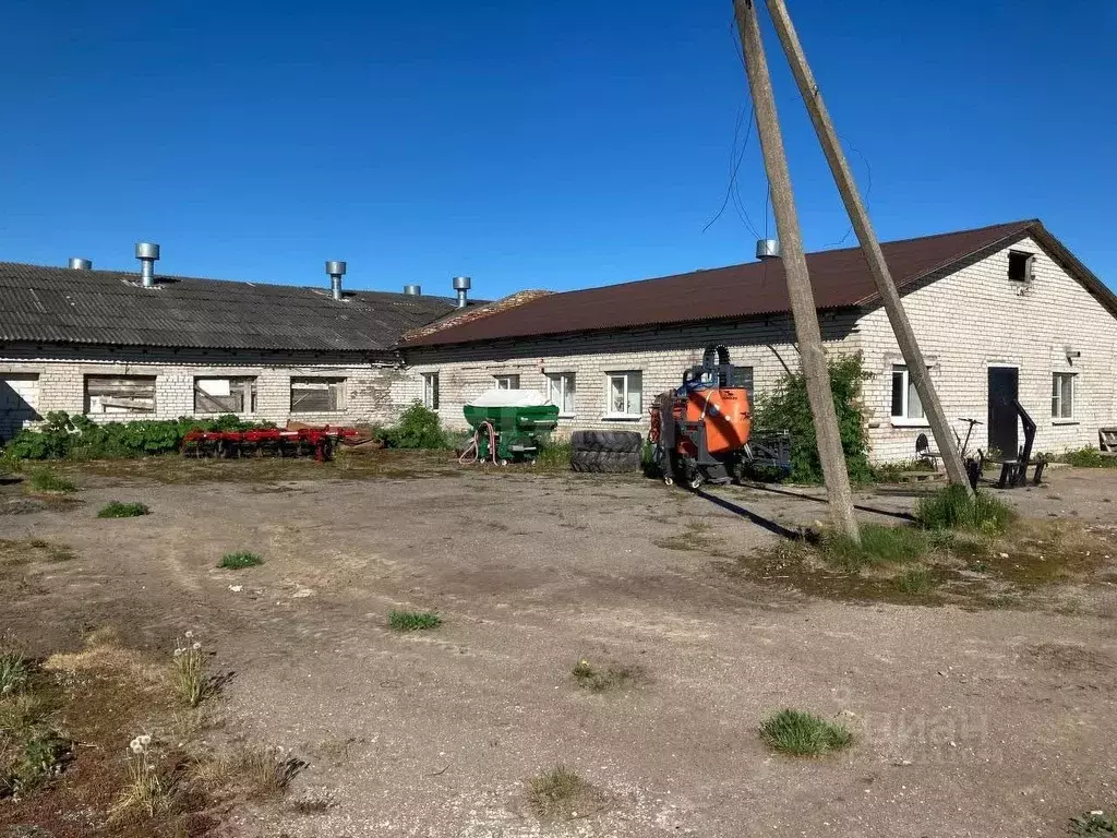 Склад в Псковская область, Псковский район, Логозовская волость, д. ... - Фото 2