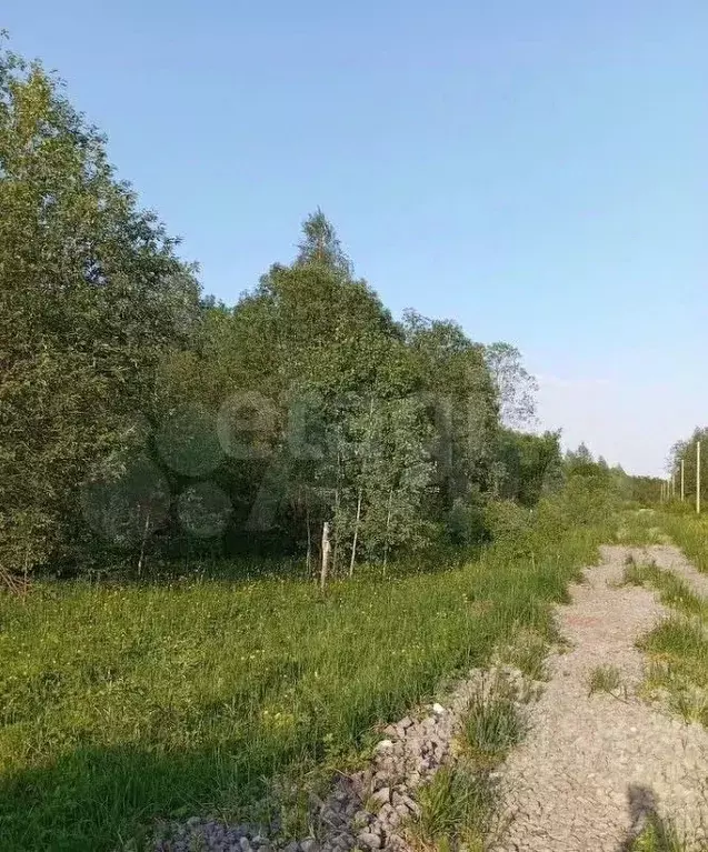 Участок в Вологодская область, Череповецкий район, Ирдоматское с/пос  ... - Фото 1