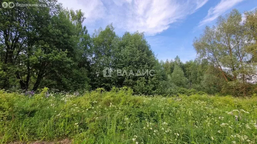 Участок в Весь, Центральная улица (23.6 м) - Фото 1