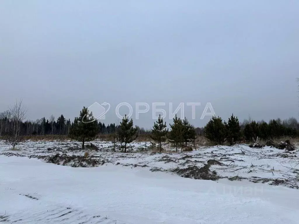 Участок в Тюменская область, Тюменский район, д. Чаплык  (10.0 сот.) - Фото 1