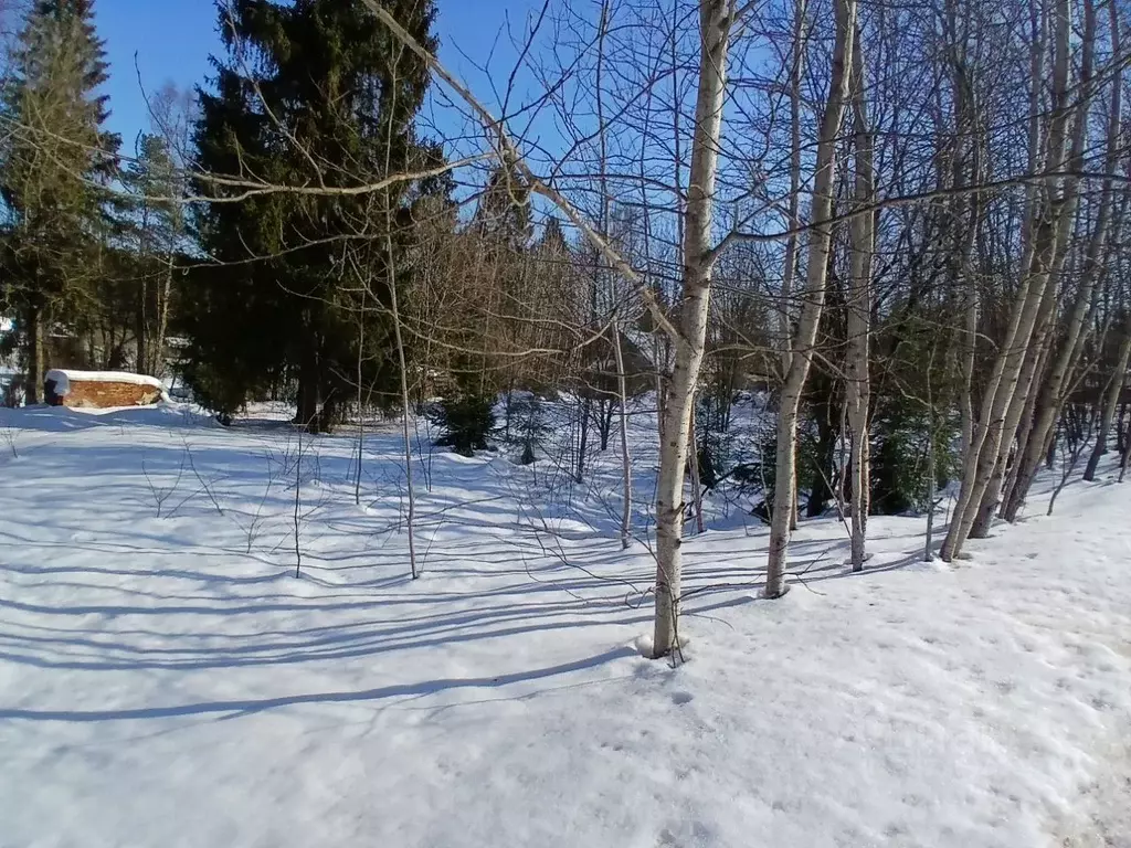 Участок в Московская область, Сергиево-Посадский городской округ, пос. ... - Фото 2