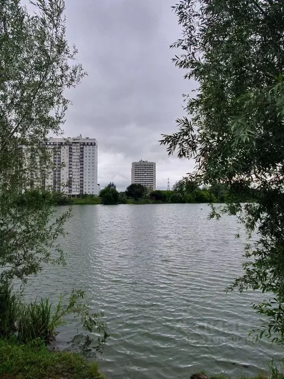 Квартира, студия, 30.5 м - Фото 0
