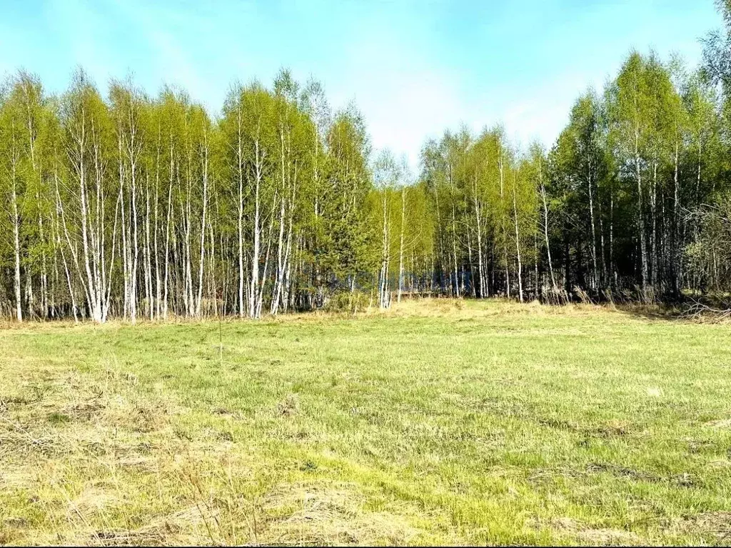 Участок в Нижегородская область, Бор городской округ, д. Ильинское  ... - Фото 1