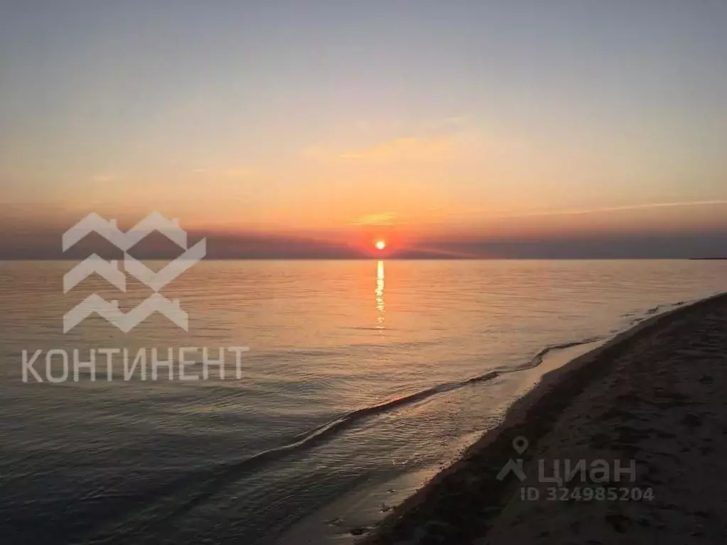 Участок в Крым, Сакский район, Молочненское с/пос, с. Витино ул. ... - Фото 2