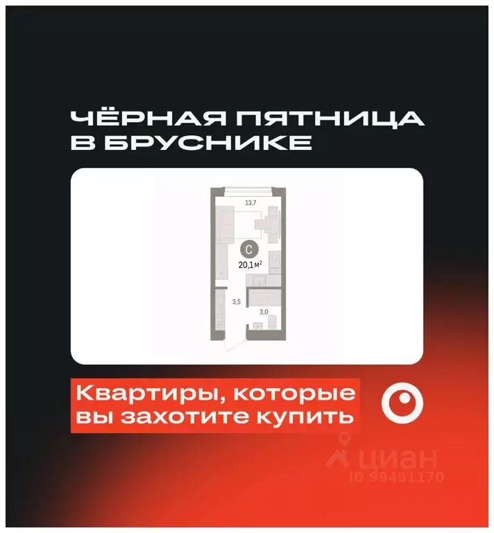 Студия Новосибирская область, Новосибирск ул. Аэропорт, 88 (20.14 м) - Фото 0