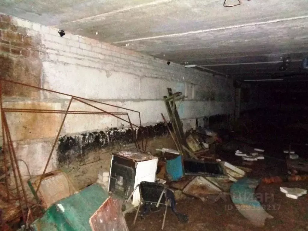 Помещение свободного назначения в Брянская область, Брянск ул. ... - Фото 1
