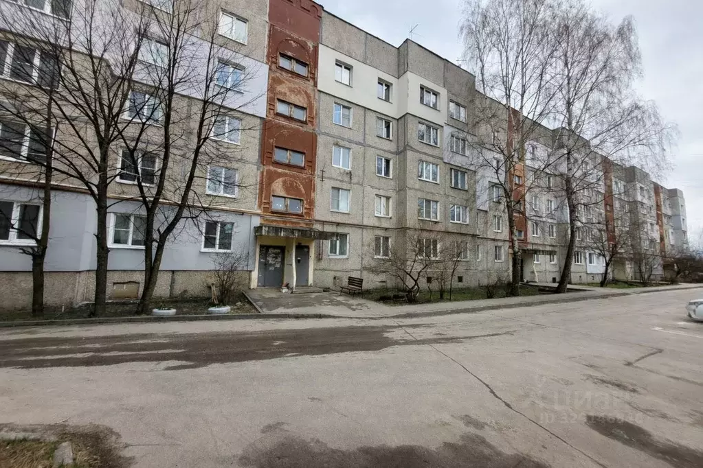 1-к кв. Нижегородская область, Бор ул. Тургенева, 107 (32.6 м) - Фото 1