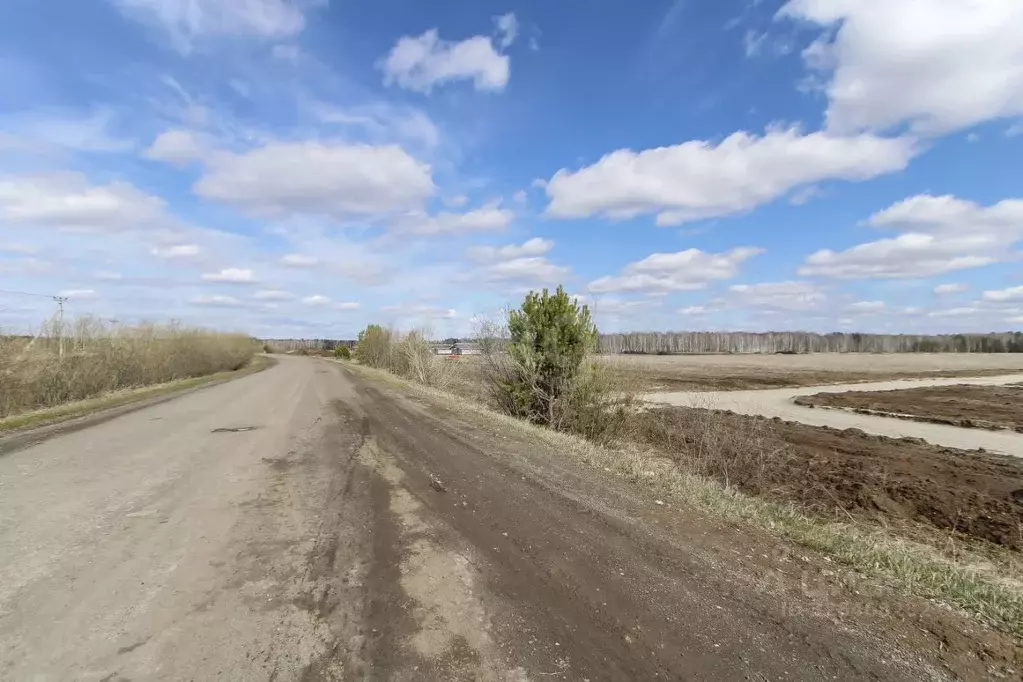 Участок в Тюменская область, Тюменский муниципальный округ, д. Елань ... - Фото 1