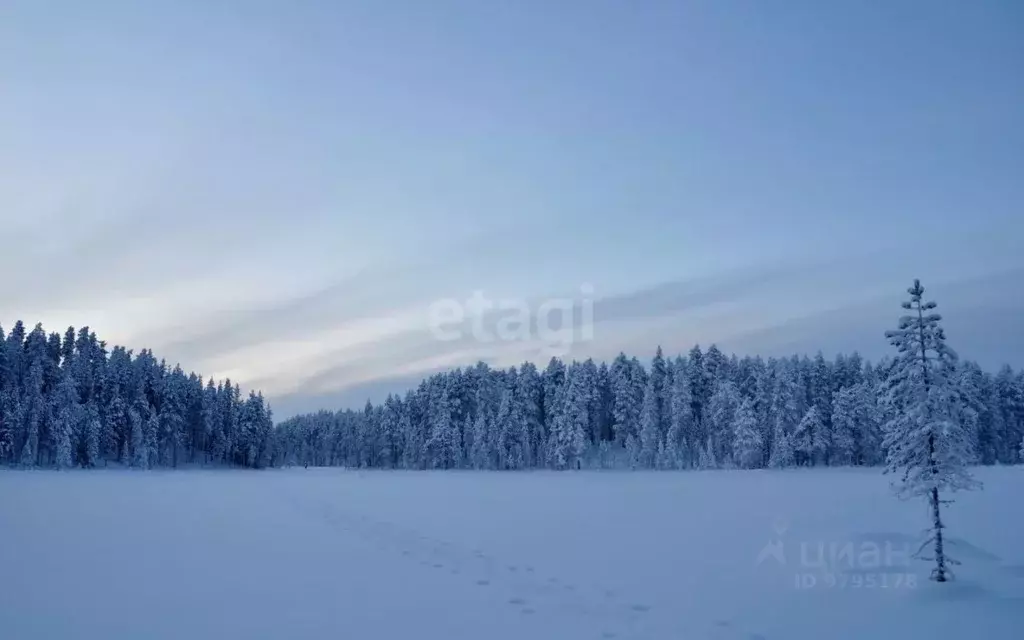 Участок в Татарстан, Верхнеуслонский район, Введенско-Слободское ... - Фото 1