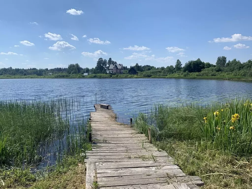 Дом в Новгородская область, Валдайский район, Костковское с/пос, д. ... - Фото 2