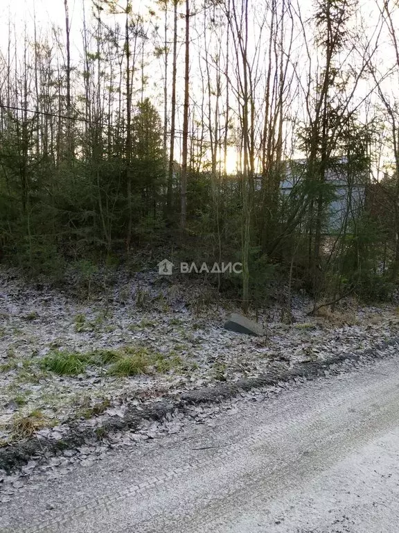 Участок в Ужесельга, Солнечная улица (15 м) - Фото 2
