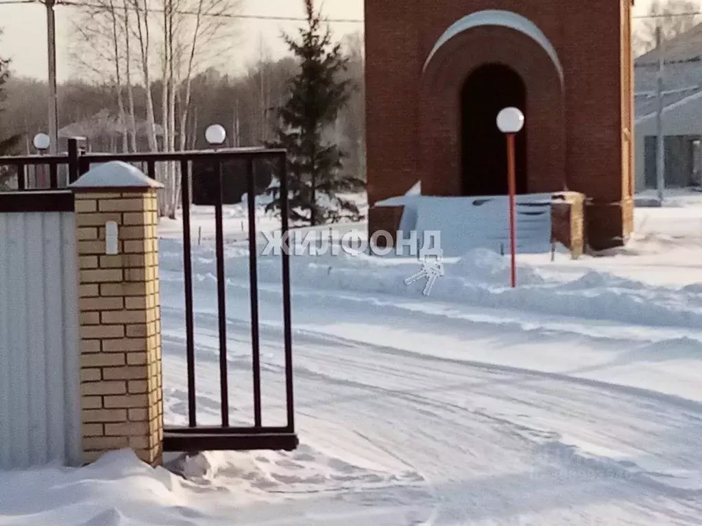 Участок в Новосибирская область, Новосибирский район, Станционный ... - Фото 1