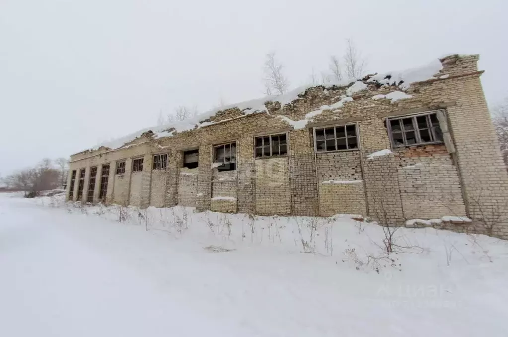 Склад в Курганская область, Далматово ул. Гагарина, 89А (867 м) - Фото 0