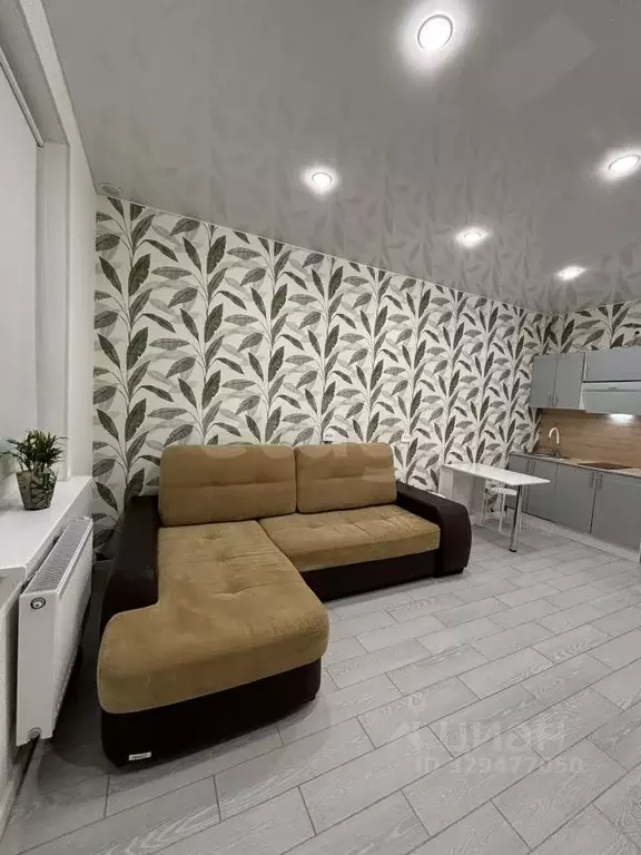Студия Санкт-Петербург пос. Парголово, Заречная ул., 17 (27.0 м) - Фото 1