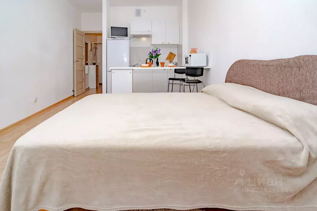 Студия Санкт-Петербург ул. Адмирала Черокова, 20 (24.0 м) - Фото 2