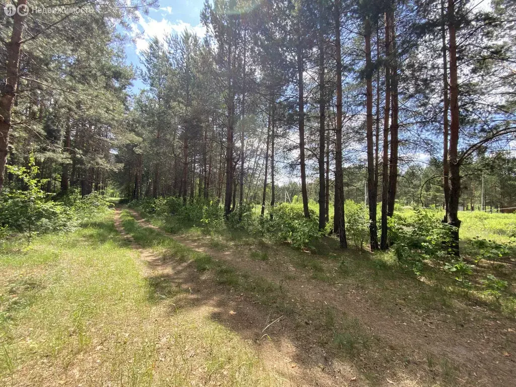 Участок в Бессоновский район, посёлок Подлесный, коттеджный посёлок ... - Фото 1