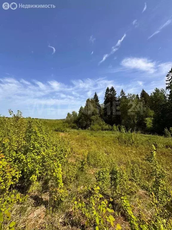 Участок в Сергиево-Посадский городской округ, село Васильевское ... - Фото 1