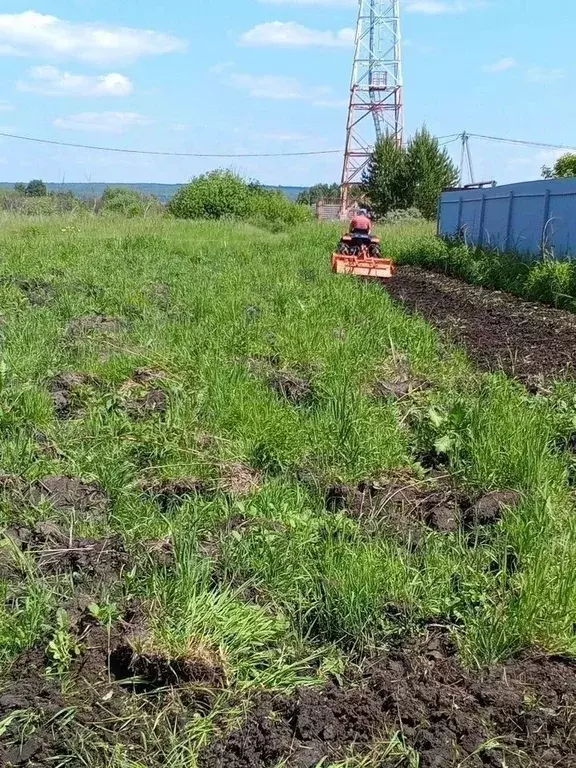 Участок в Новосибирская область, Искитимский район, Мичуринский ... - Фото 2