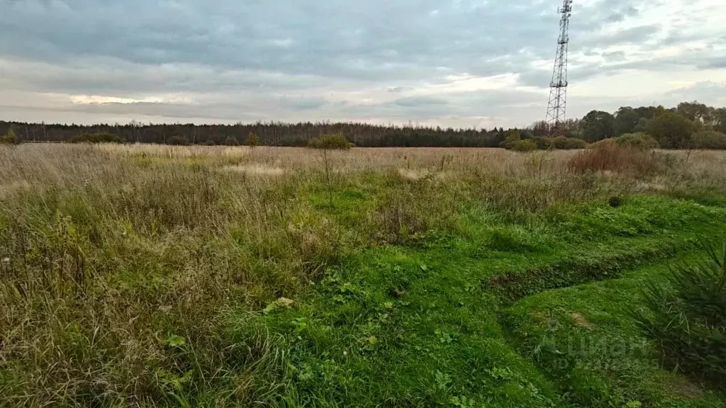 Участок в Московская область, Рузский муниципальный округ, д. Лидино  ... - Фото 1