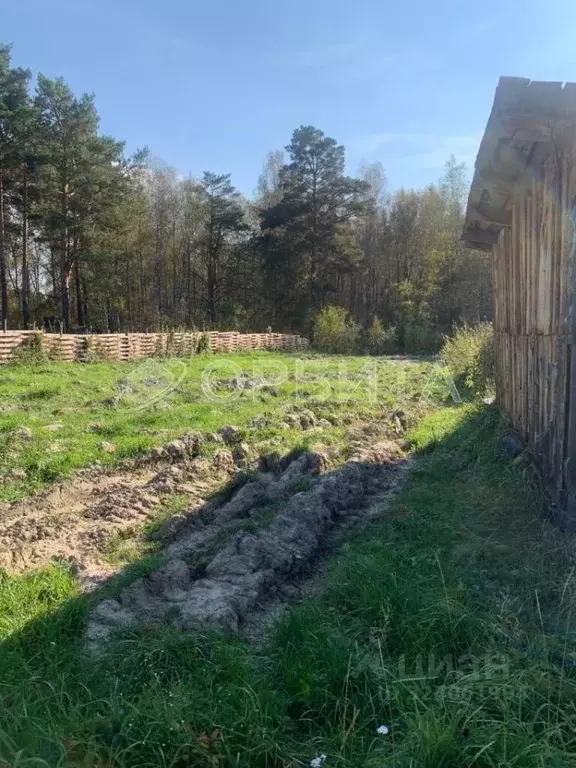 Участок в Тюменская область, Тюменский муниципальный округ, Горошинка ... - Фото 2