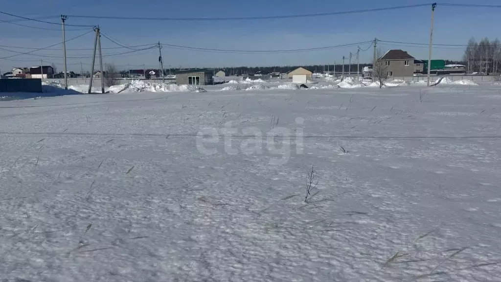 Участок в Ульяновская область, Чердаклинский район, Мирновское с/пос, ... - Фото 2