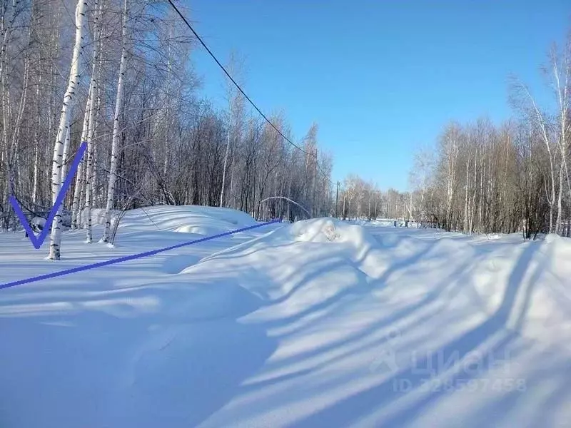 Участок в Новосибирская область, Новосибирский район, Станционный ... - Фото 2