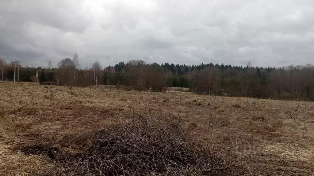 Участок в Московская область, Можайский муниципальный округ, д. ... - Фото 0