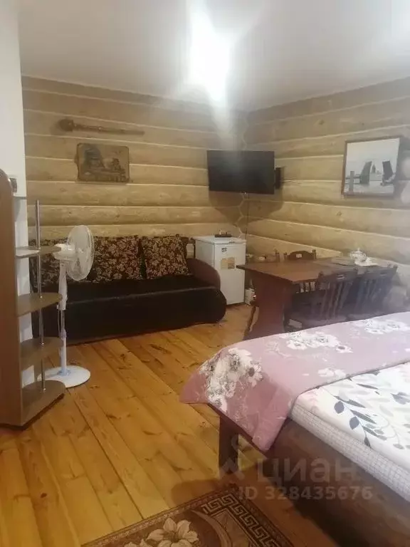 Комната Псковская область, Пушкинские Горы рп - Фото 1