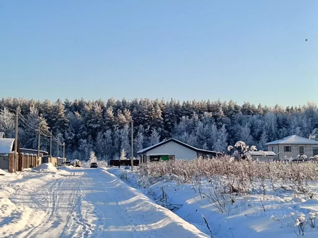 Участок в Ленинградская область, Тосненский район, Тельмановское ... - Фото 1