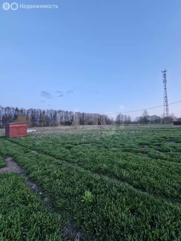 Участок в посёлок Сельцо, Придорожная улица (9.73 м) - Фото 0