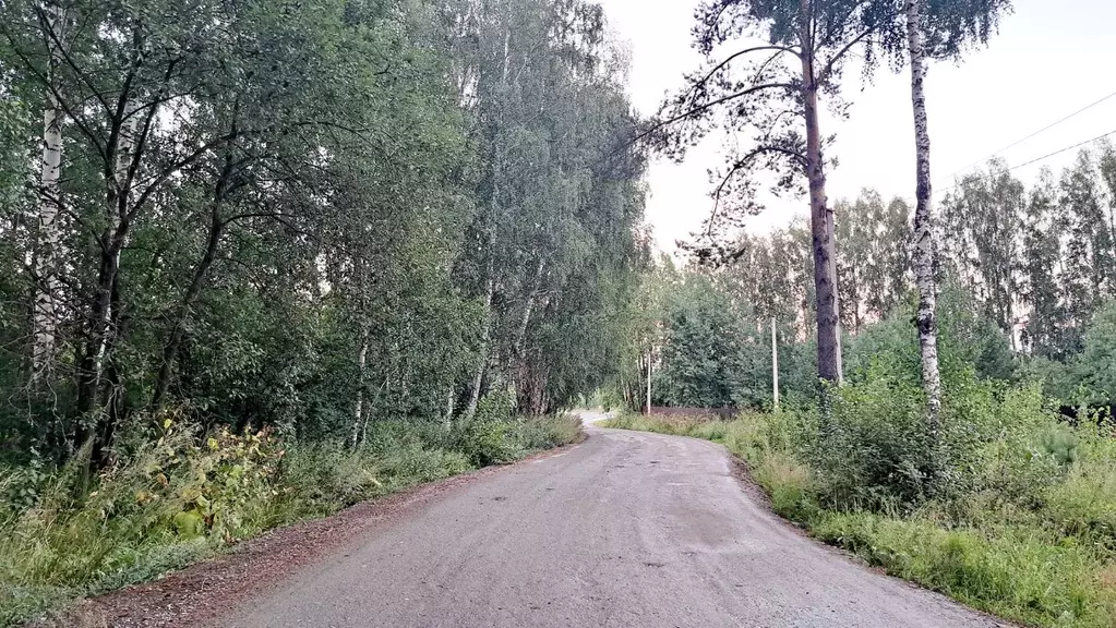 Участок в Свердловская область, Екатеринбург Майский СНТ, 59 (12.0 ... - Фото 1