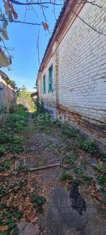 Дом в Белгородская область, Новооскольский муниципальный округ, с. ... - Фото 0